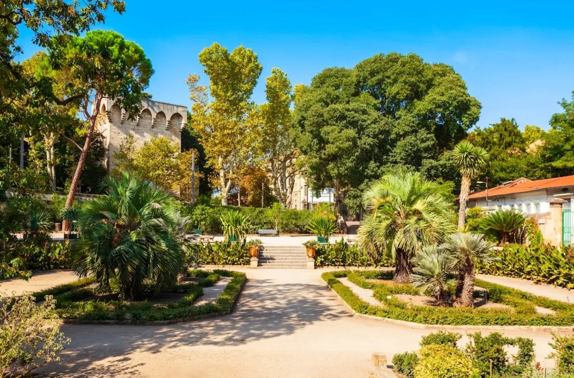 Montpellier